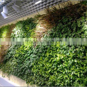 Professional artificial green plants wall supplier