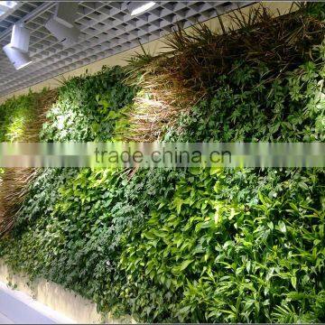 Artificial Green Wall Plant Wall photo-5