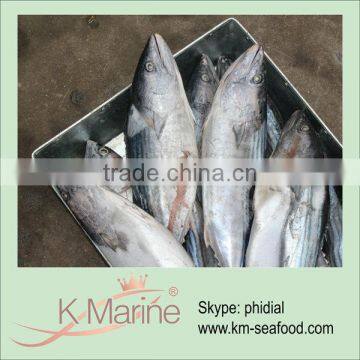 2015 Tuna Factory Supply Small Size Tuna Purse Seiner