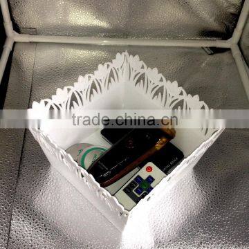 Plastic Fruit Tray With Lace Brim in Square Shape photo-6