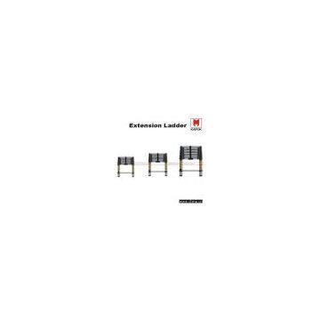 EXTENSION LADDERS