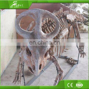 KAWAH OEM Best Quality Artificial Dinosaur Skeleton Made In China photo-3