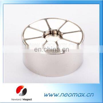 Factory Directly Supply Customized Magnetic Rotor, Motor for Hot Sale