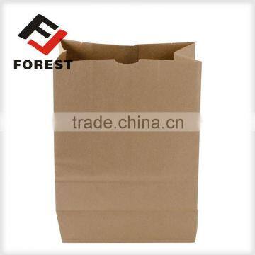 Kraft Paper Bag, Food Paper Bag and Grocery Paper Bags for Sale, Food Deliver Bag Quality Choice photo-3