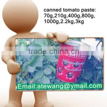 Commodities in short supply,400g*24tins tomato paste,tinpalte tomato paste