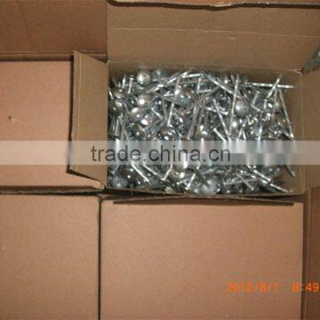 Competitive Price Umbrella Head Roofing Nails Directly Manufacturer photo-5