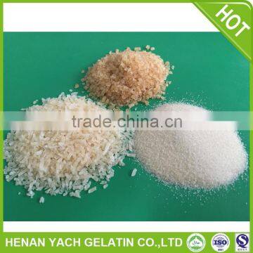 Hot selling halal gelatin price made in China