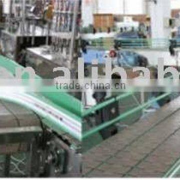 bottle conveyor system