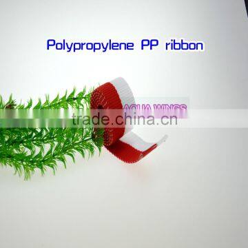 Polypropylene PP Ribbon photo-4