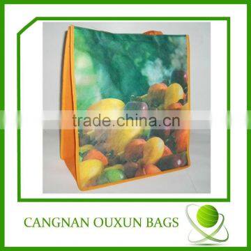 Most fashion pp non woven fabric for bag