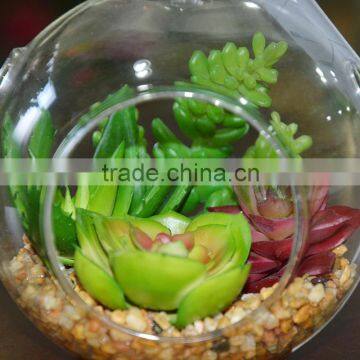 Wholesale Glass Globe Hanging Succulent Plants Terrarium Geometric photo-3