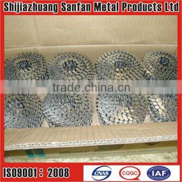 Decorative coil nail for wooden case (factory)