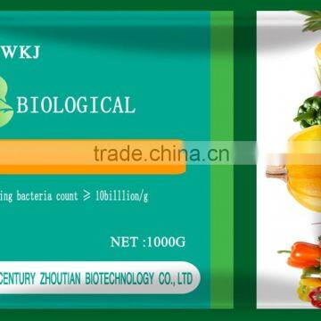 Bacillus subtilis WP Plant Growth Promoting Rhizobacteria