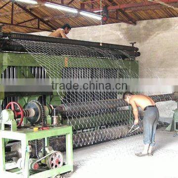 factory price dipped galvanized hexagonal netting china manufacturer