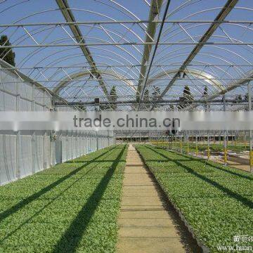 Greenhouse Film photo-4