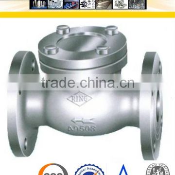 Stainless Steel WCB Check Valve 6 Inch