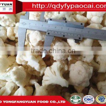 new crop frozen IQF cauliflower high quality in China