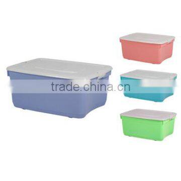 Trendy Color Storage Box