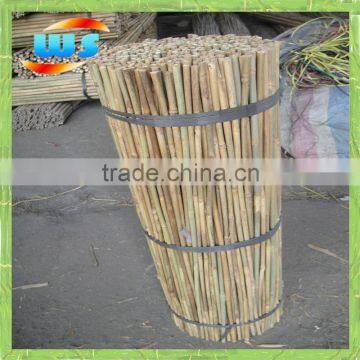 Bambu cane support plantss 2.5' X 8/10mm