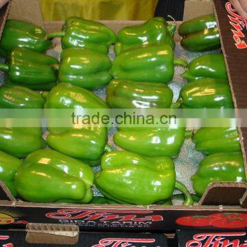 Fresh Pepper photo-2