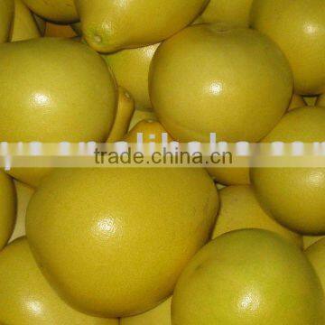 Fresh honey pomelo