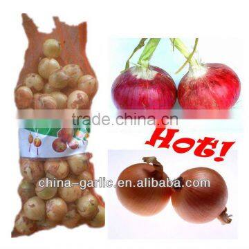 "China Red Onion/Yellow Onion" - hot sales, new season