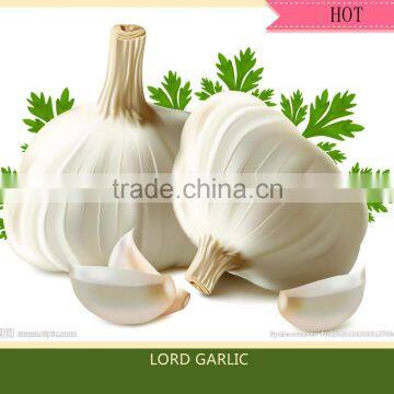 CHINA GARLIC CROP 2015