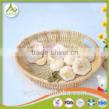 Fresh Garlic Natural photo-6