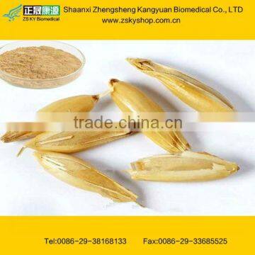 Oat Extract from GMP Certified Manufacturer