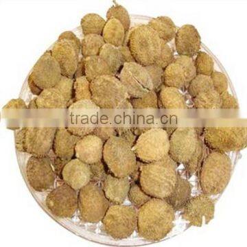 Best Selling Competitive Price Fructus Amomi