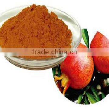 Organic Pomegranate Extract Powder