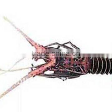 New Style 5.5+0.75kw Automatic shrimp farming equipment for fishery farms