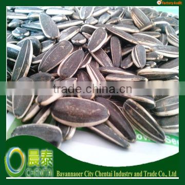 2013 Chinese Hot Selling Hulled Natural American Type Sunflower Seeds 24/68 (280pcs/50g)