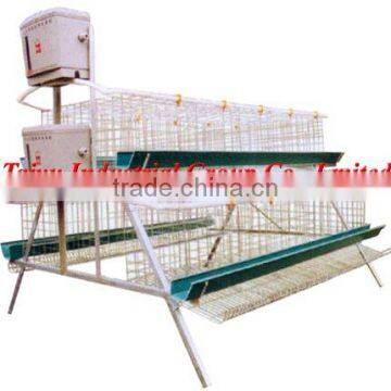 layer poultry chicken cage for farm