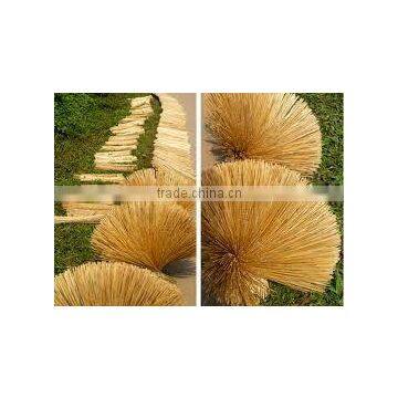 High quality dried bamboo sticks(micha@exporttop.com )