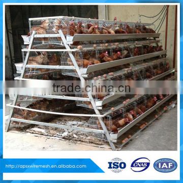 used laying hen cage for chicken rearing in dar es dalaam