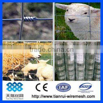 Hot Dipped Galvanized Cattle Field Fence/galvanized Farm Fence photo-4