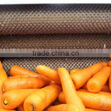 Carrot Washing Peeling Prodcution Line Processing Line photo-3