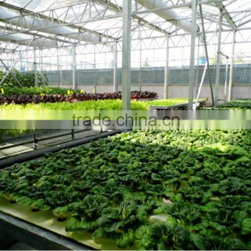 hydroponics growing equipment for sale