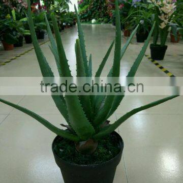 SJ30048946 Plastic Asparagus Plant/ Artificial Cactus Plant for Landscaping photo-3