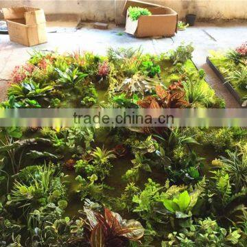 Home garden wedding decoration 200cm*100cm green original succulent with moss carpet grass wall E03 0501