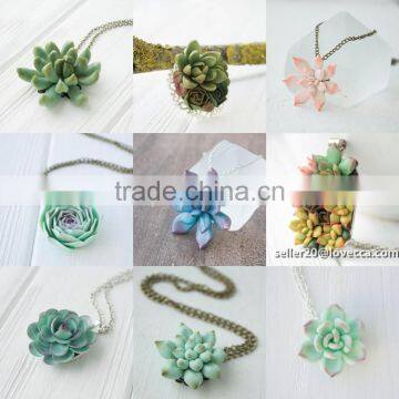 Small Pendant Succulent Pendant Wholesale 4 cm Mini Succulent Plants Arrangement Succulent Jewelry photo-6