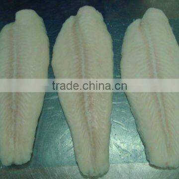Pangasius Well Trimmed