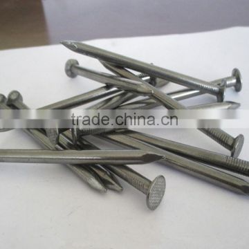 Iron Nail/ Common Wire Nail/Common Iron Nails