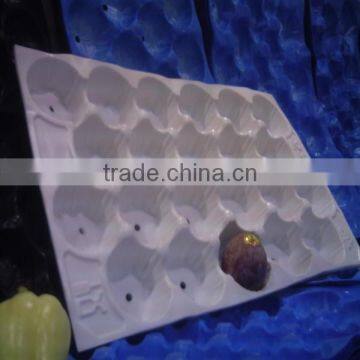 PP 30# /36# 29*49cm Kiwi Punnet Tray photo-6