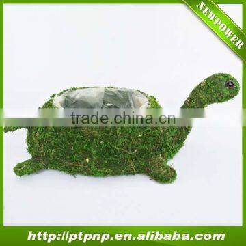 Factory wholesale tortoise design Moss Flower Pot for garden