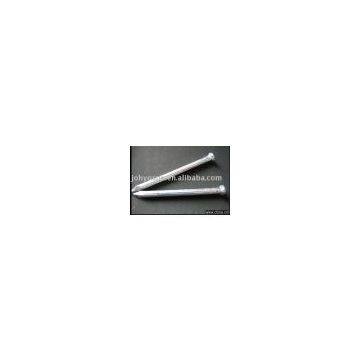common nail,iron nail,steel nail