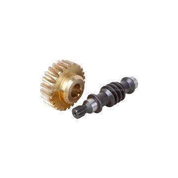 worm gear pair / worm gear set