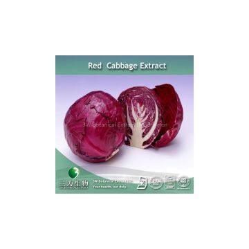 Cabbage Extract