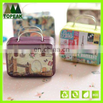 Custom printed Cute tin box with handle Small size Square Tin plate cans